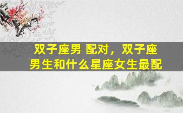 双子座男 配对，双子座男生和什么星座女生最配